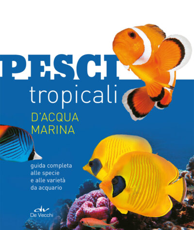 Pesci Tropicali D'Acqua Marina
