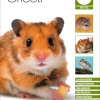 Criceti