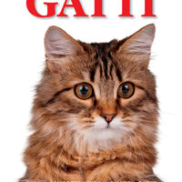 Gatti